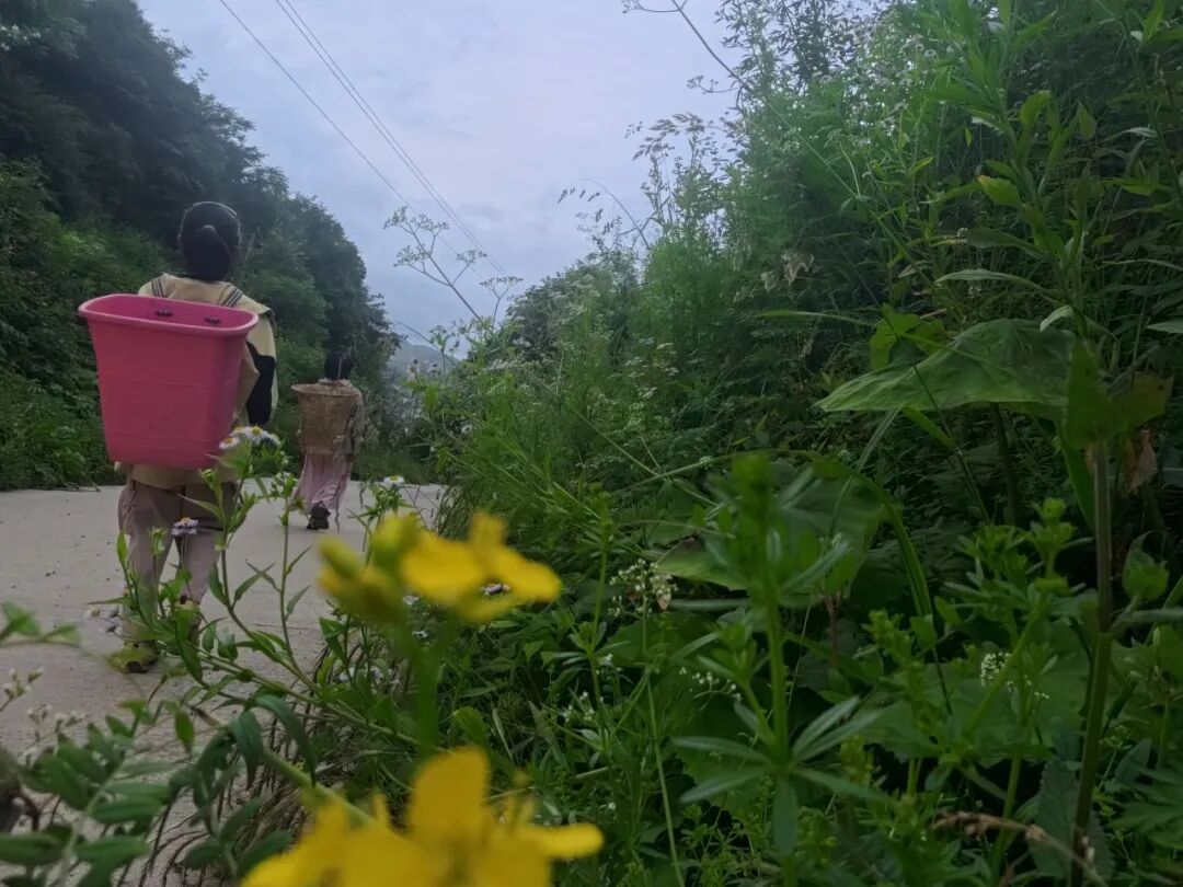 陈昌露 12岁摄