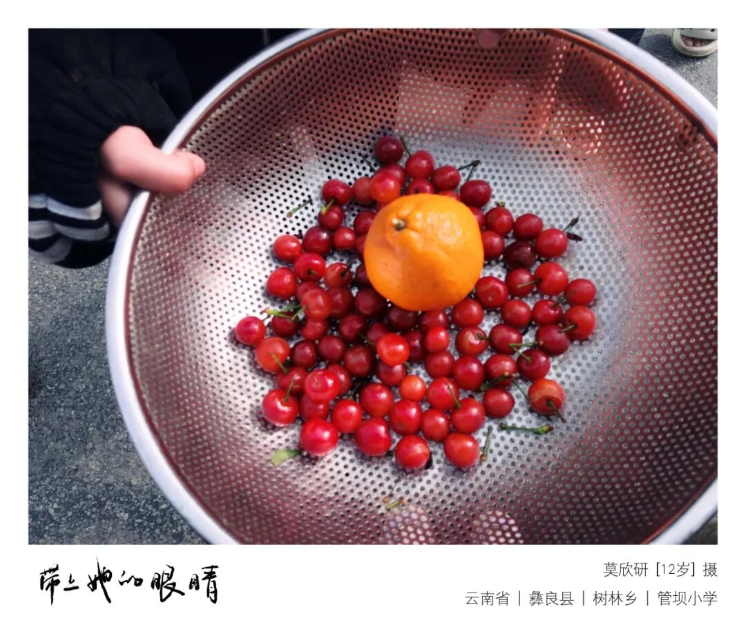 树林乡的广场