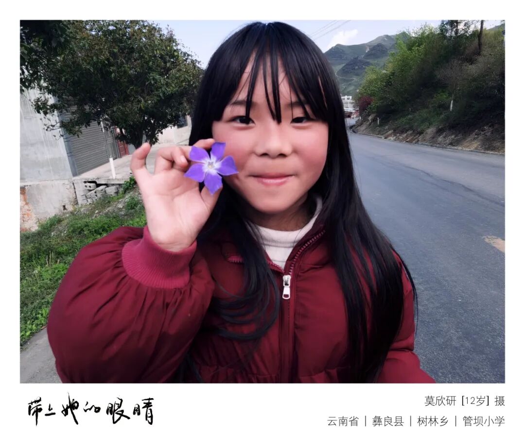 缀满露水的草丛
