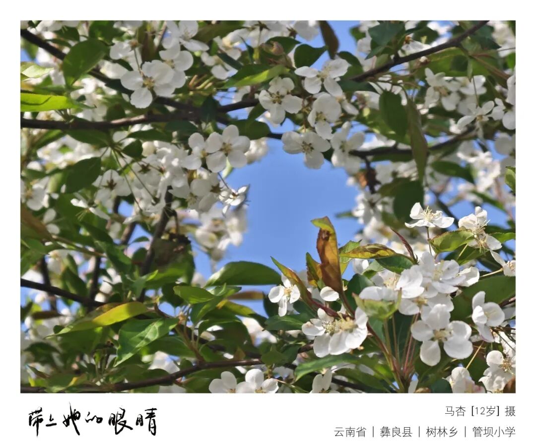 雾散后的山野