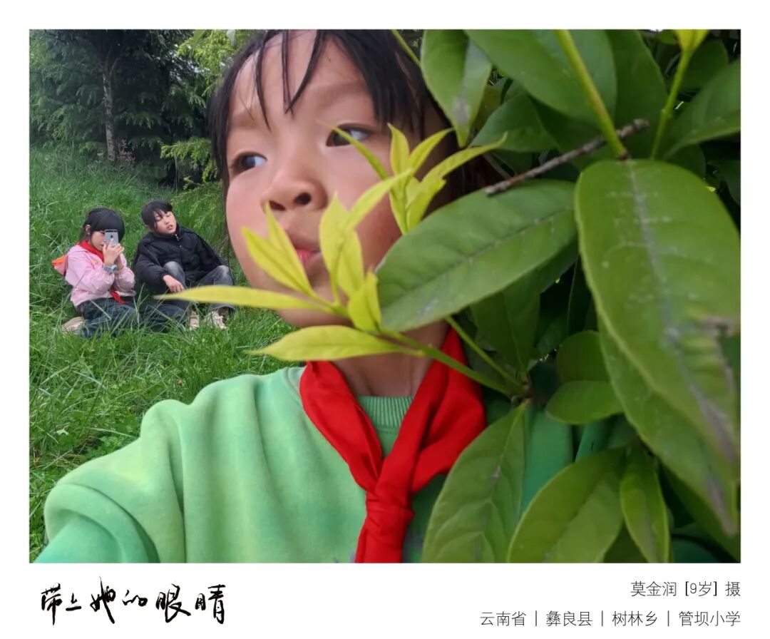 满山坡的野花