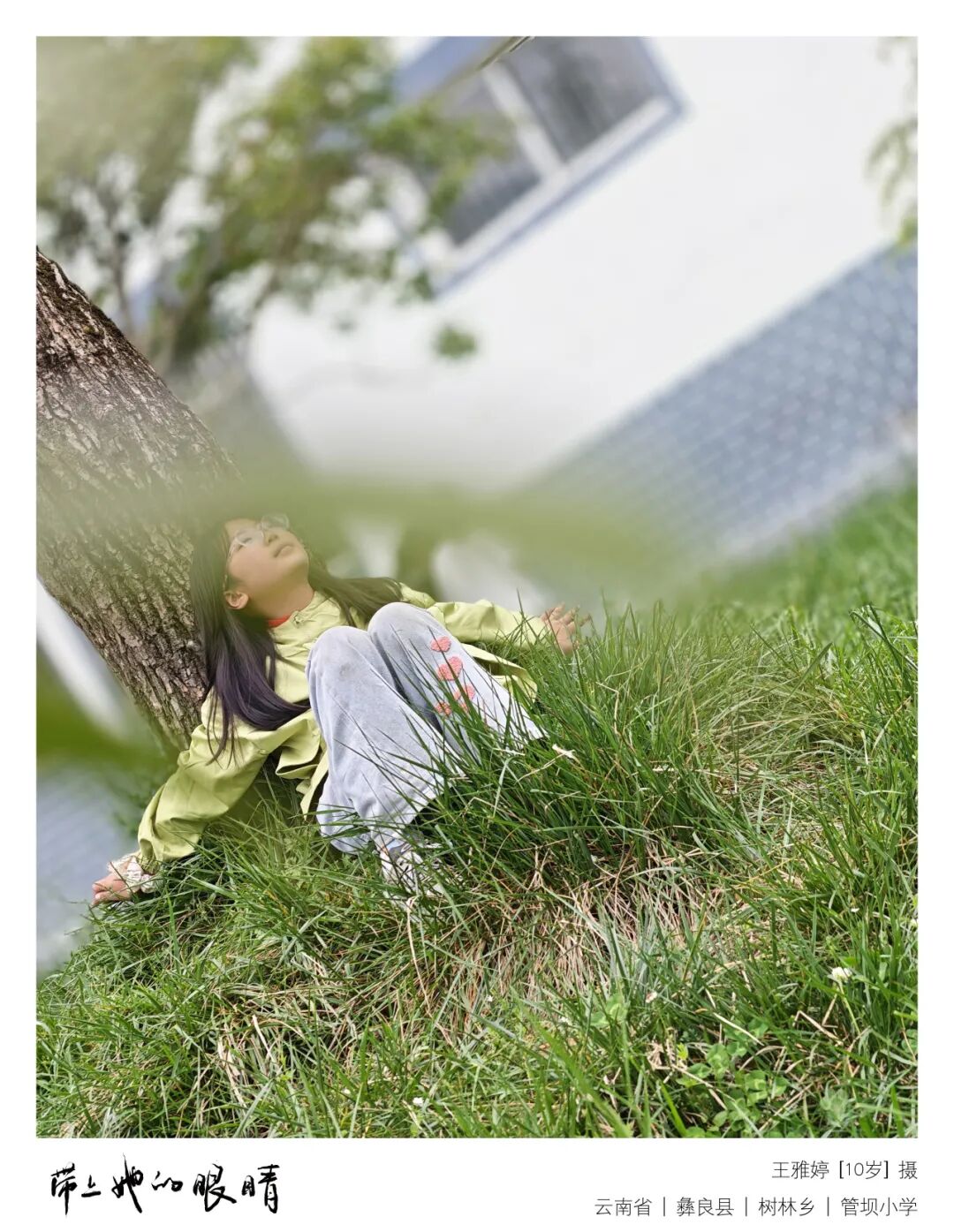 山风吹过树梢