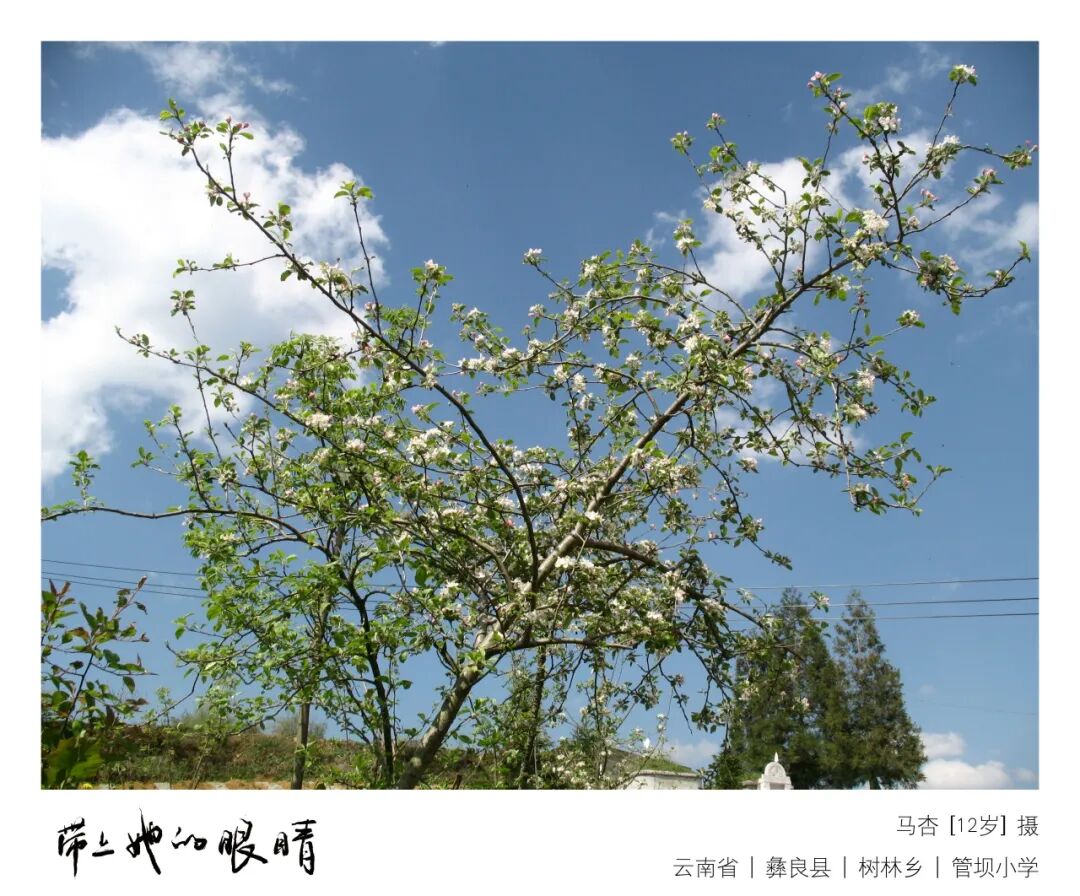 春天在山野间