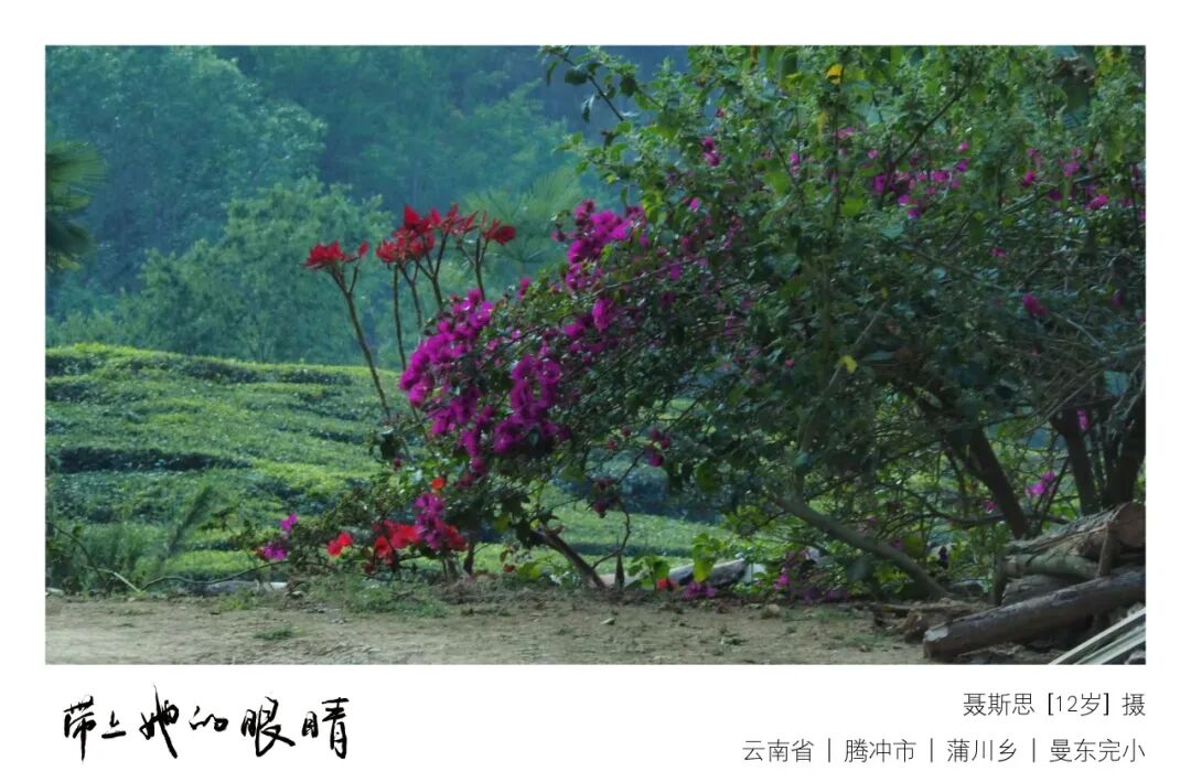 山间的孩子们