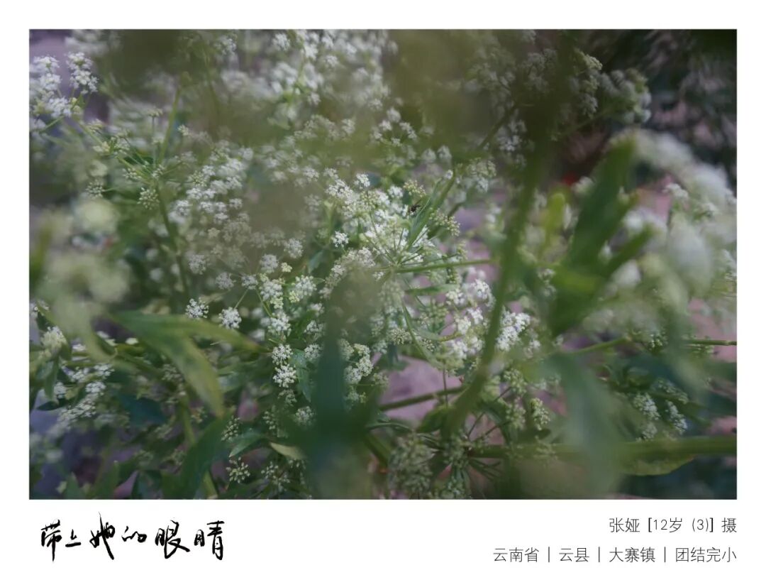 山里的人家