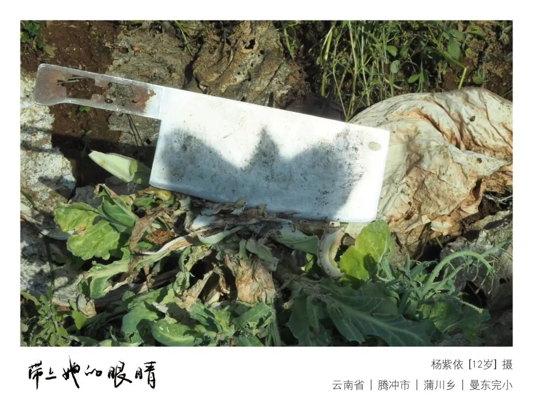 山野的孩子