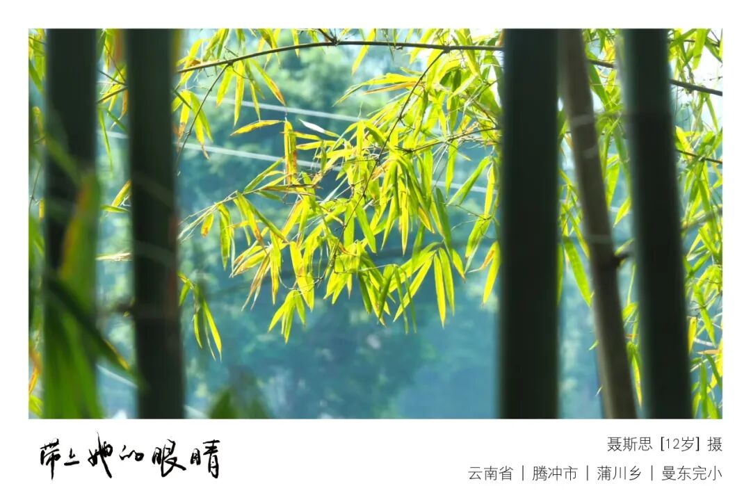围成圈的人们