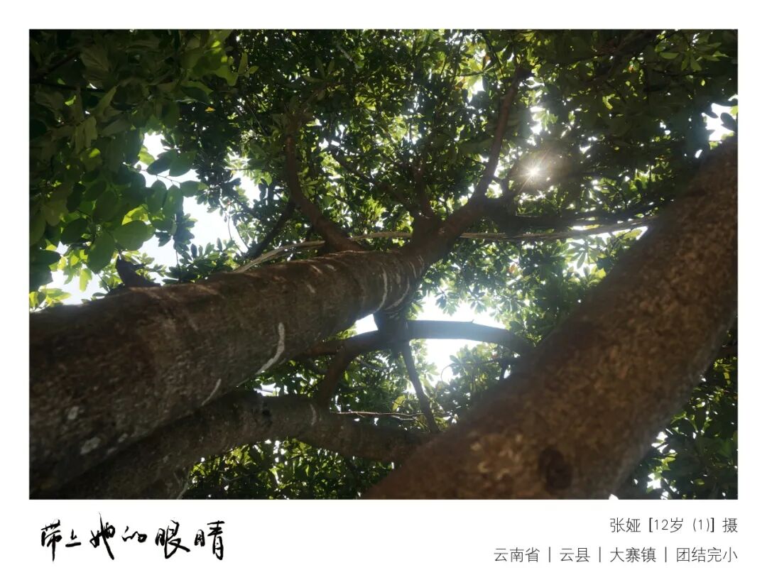 三弦与笛子