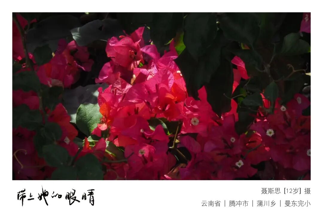 故乡的山脊