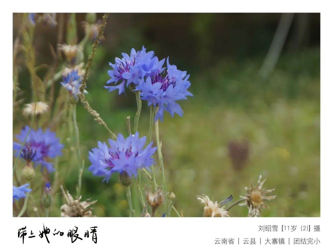 红土地