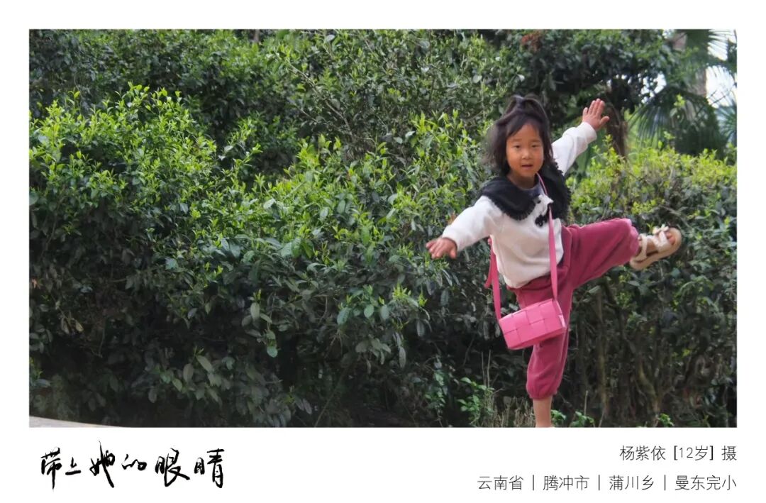 躺在树根旁