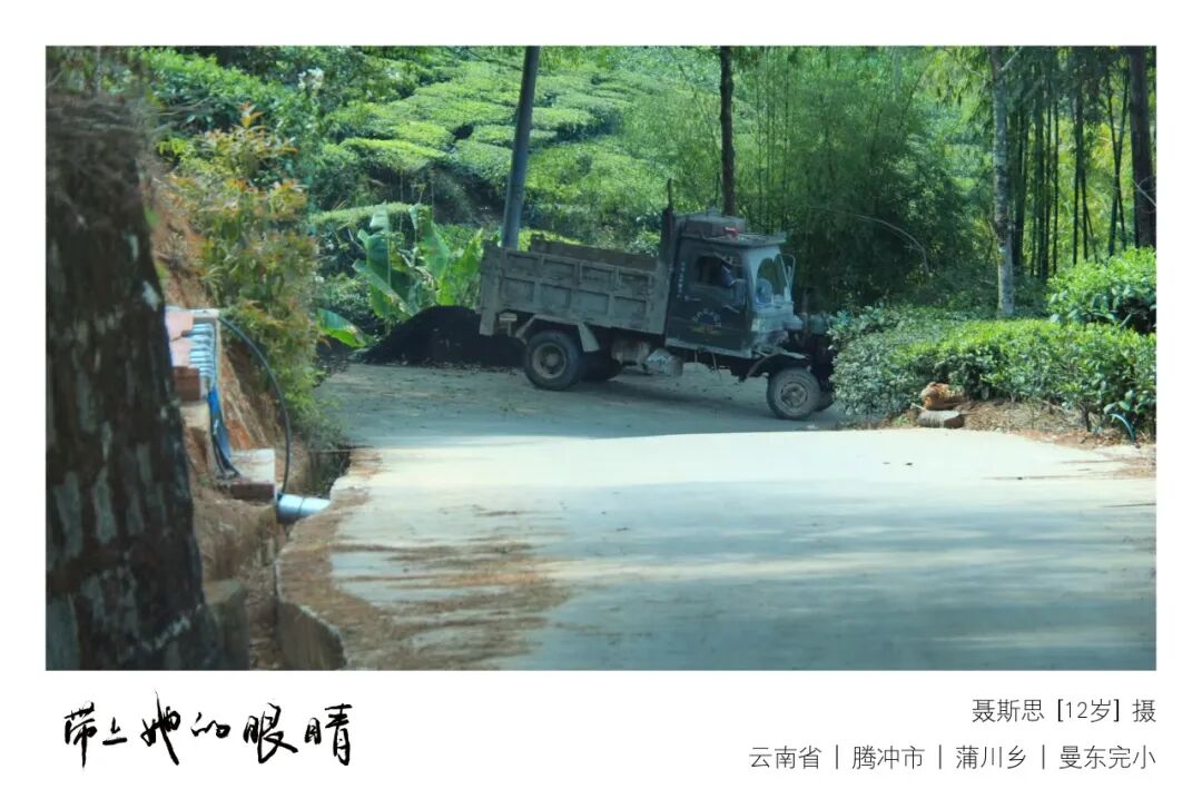 粗粝而真情的照片
