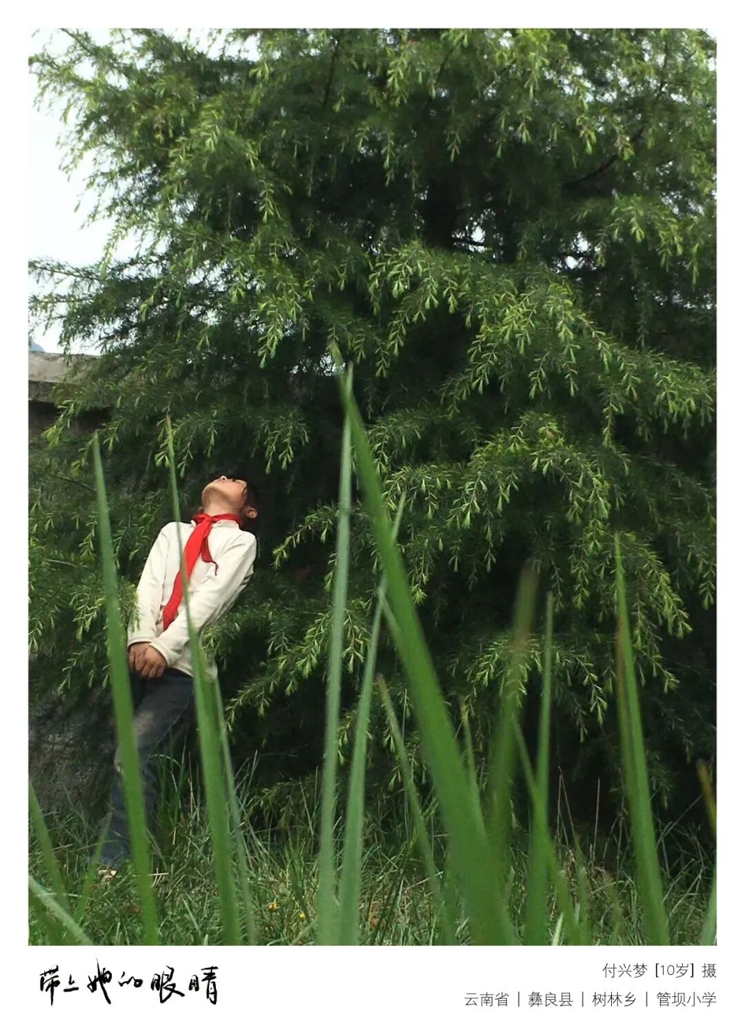 最后的夏天